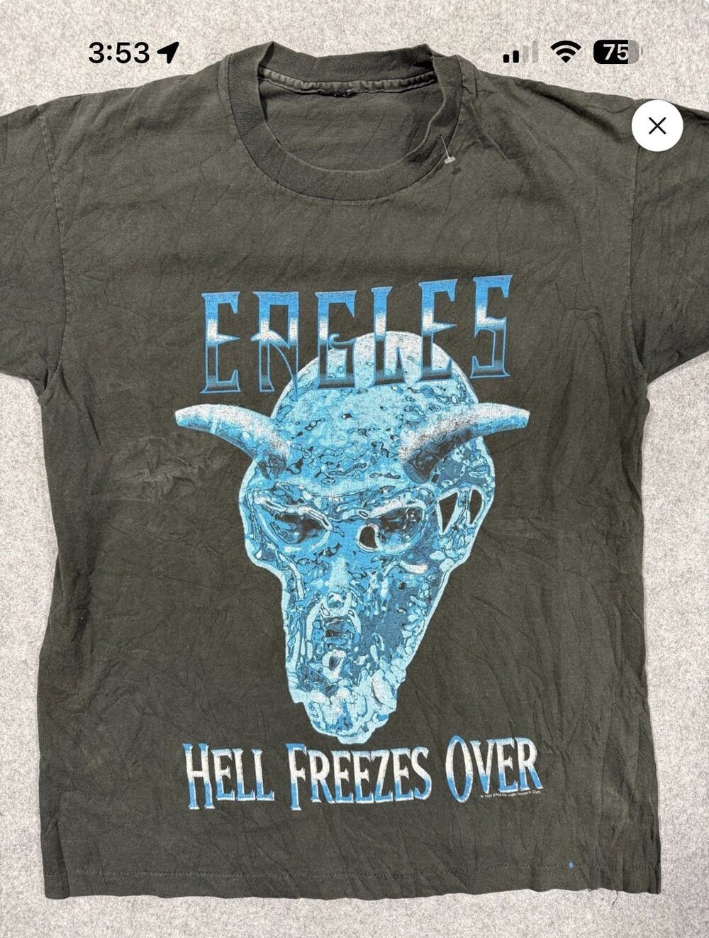 Vintage 1994 Eagles Hell Freezes Over Tour Concert T Shirt XL made in USA Giant